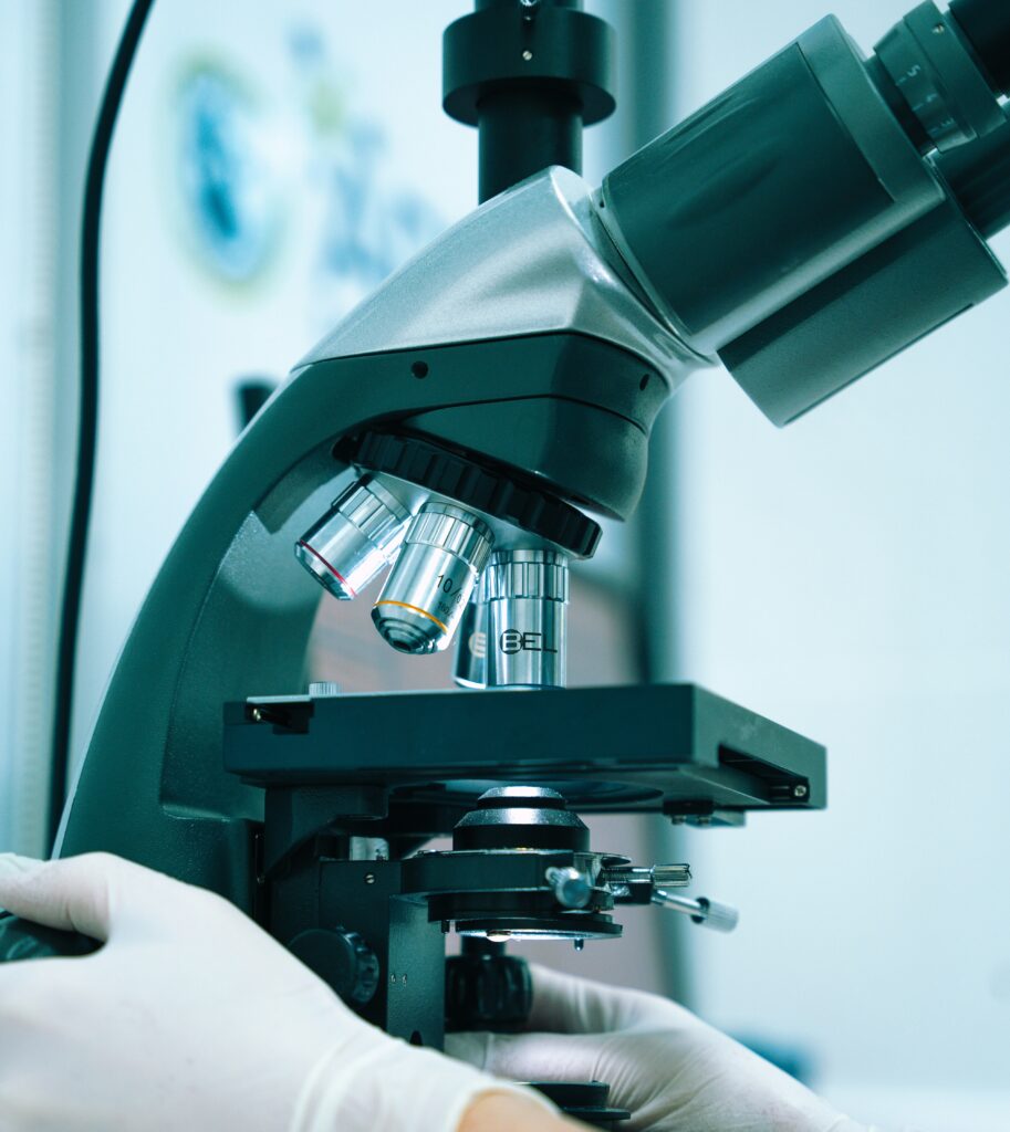 vu d'un microscope